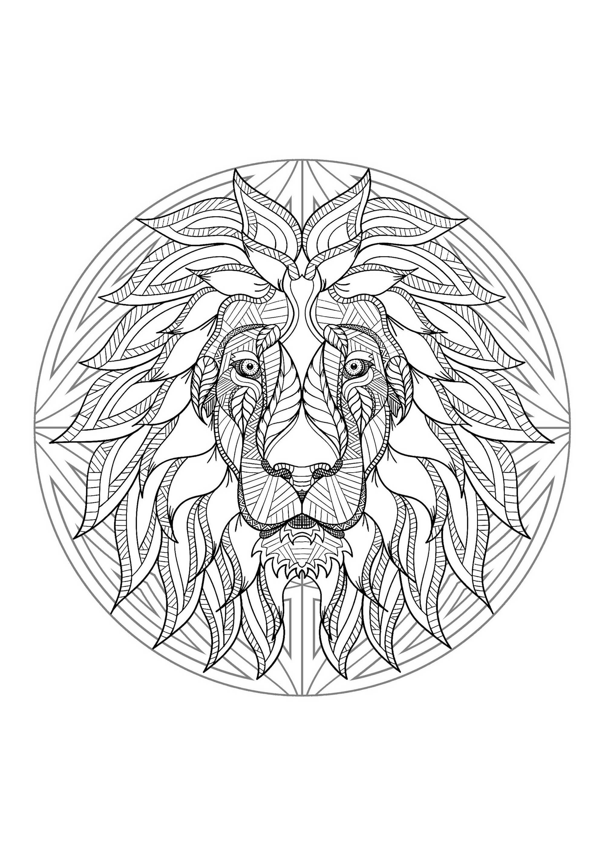 Preparate i vostri colori più belli per dare vita al re degli animali: il leone. Ci piacerebbe vedere il risultato! Non esitate a inviarcelo. Preparate i vostri colori più belli per dare vita al re degli animali: il leone. Ci piacerebbe vedere il risultato! Non esitate a inviarcelo.