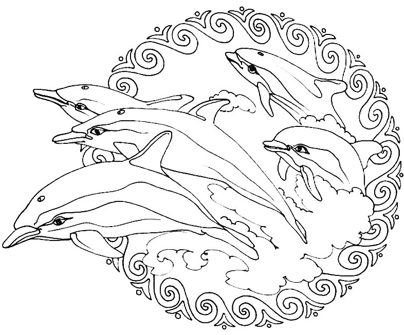 Mandala di delfini che saltano fuori dall'acqua (Tema Mandala : Animali)