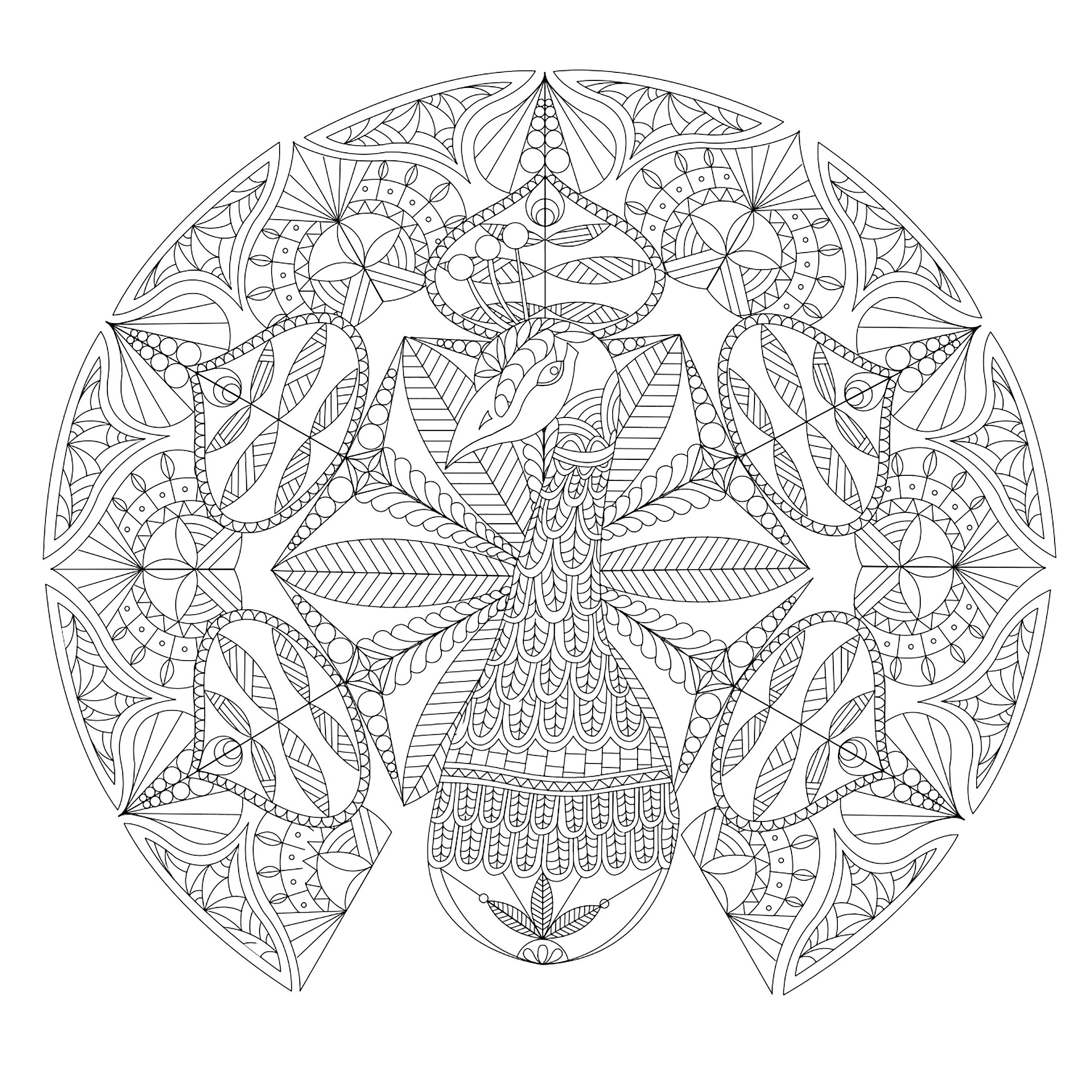 Magnifico pavone (Tema Mandala : Animali)