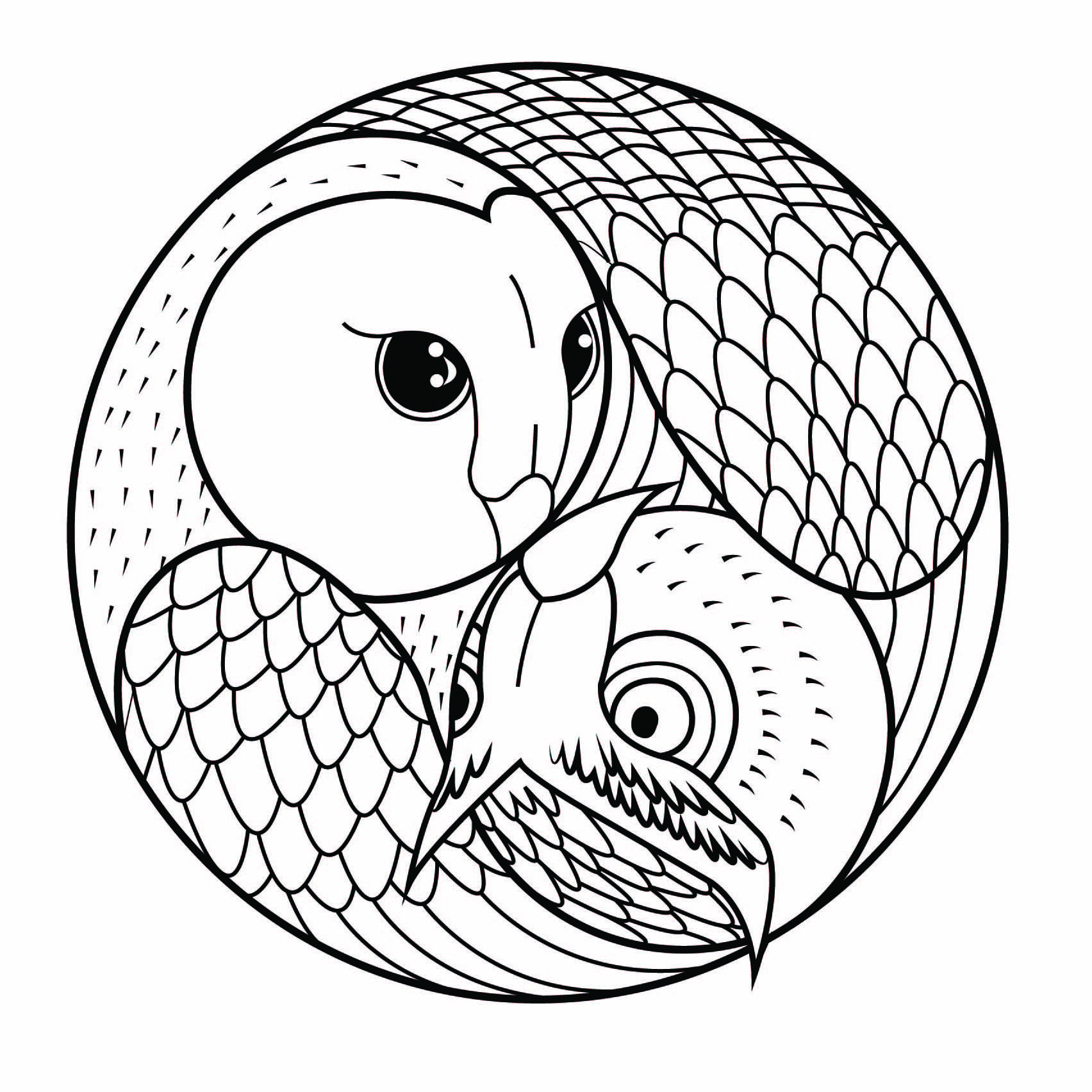 Un mandala di gufi e civette con animali, per chi preferisce colorare cose concrete e vive. Un mandala di gufi e civette con animali, per chi preferisce colorare cose concrete e vive.