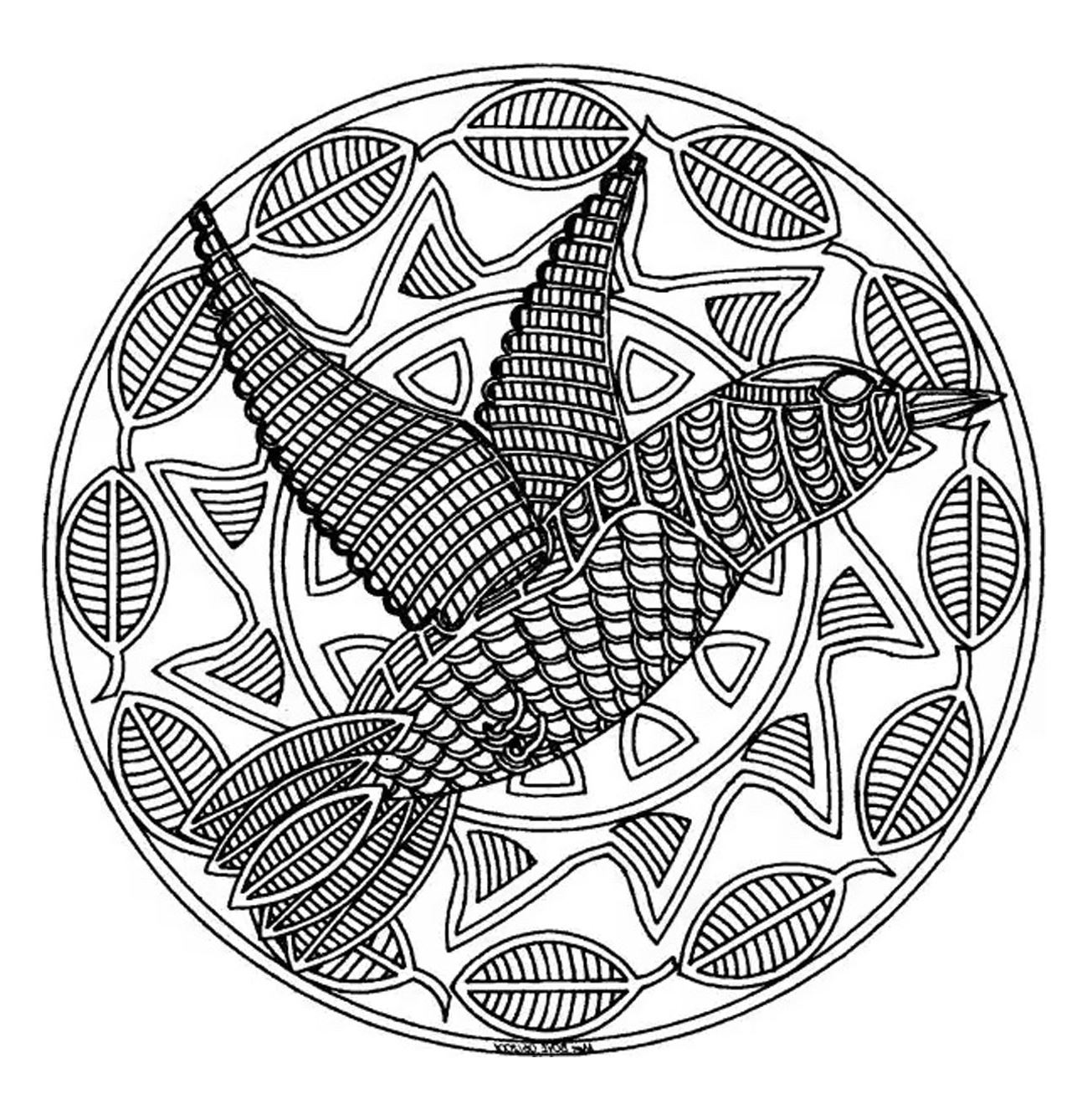 Mandala dell'uccello che ride (Tema Mandala : Animali)