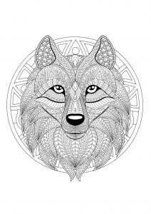 Mandala della testa di lupo   2