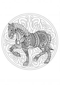 Cavallo Mandala - 3