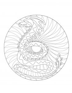 Drago Mandala - 2