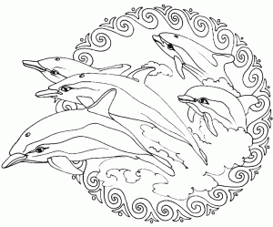 Mandala di delfini che saltano fuori dall'acqua