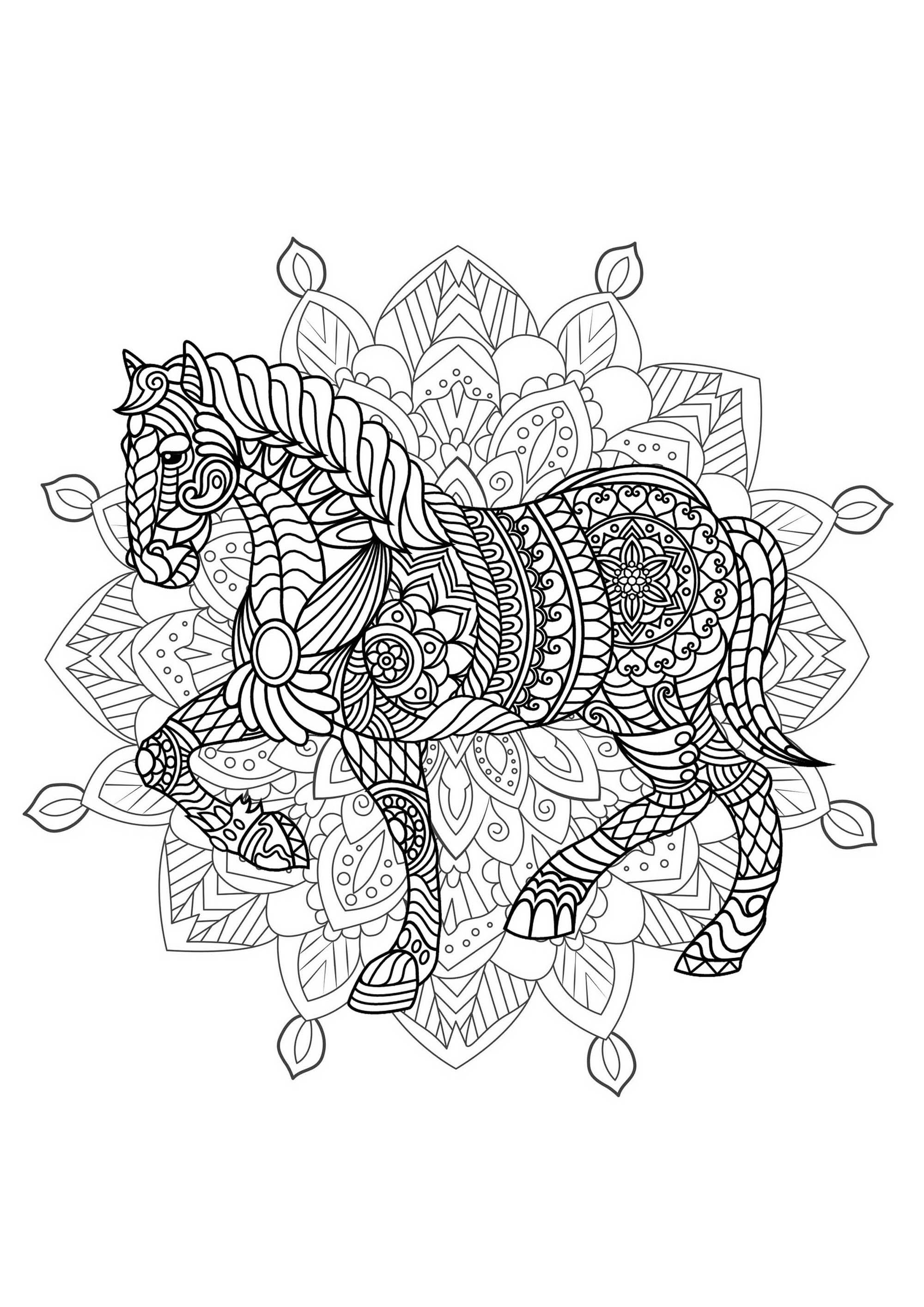 Cavallo e Mandala - Preparate pennarelli e matite per colorare questo Mandala pieno di piccoli dettagli e aree interconnesse.