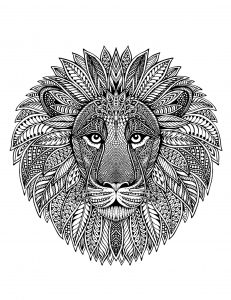 Mandala con testa di leone