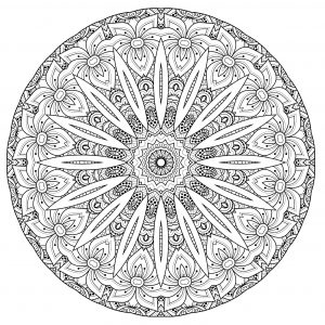 Magnifico mandala floreale