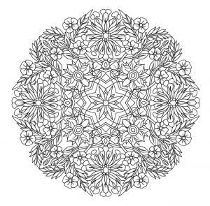 mandala da colorare gratis-grandi petali-fiori