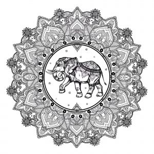 Mandala elefante in stile indiano