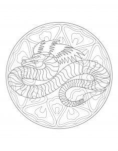 Mandala cinese complesso del drago