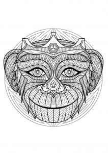 Mandala a forma di testa di scimmia   2