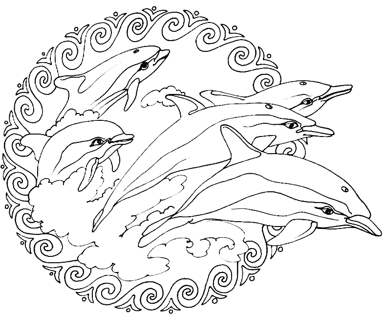 Delfini Mandala (Mandala di livello di difficoltà : Facile (per i bambini))