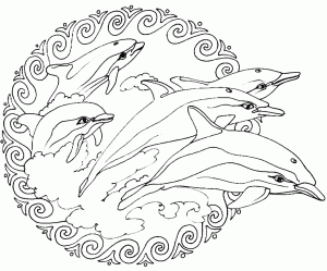 Delfini Mandala