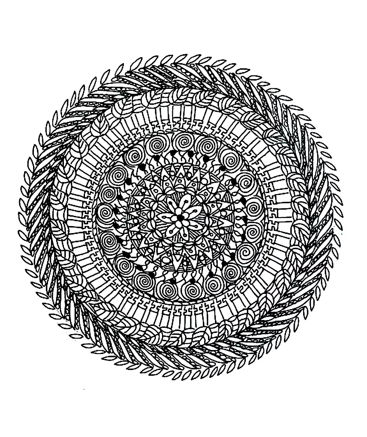 Superbo mandala naturale complesso (Tema Mandala : Fiori e vegetazione)