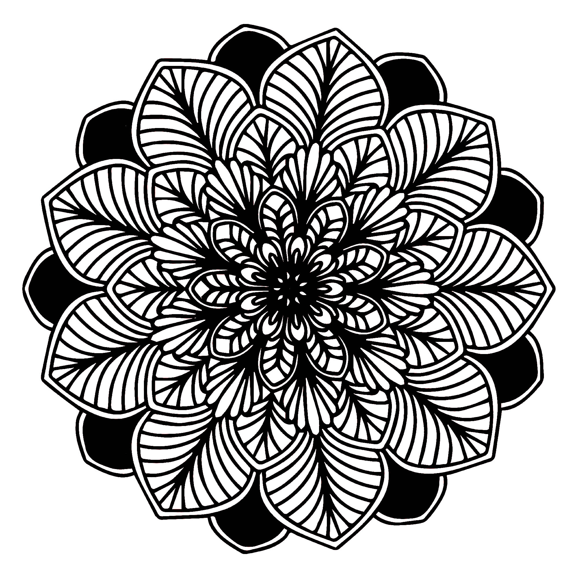 Quando il mondo vegetale è perfettamente integrato in un Mandala, ecco cosa si ottiene, non è magnifico? È composto da foglie: alcune su sfondo nero e altre molto realistiche, con linee spesse.