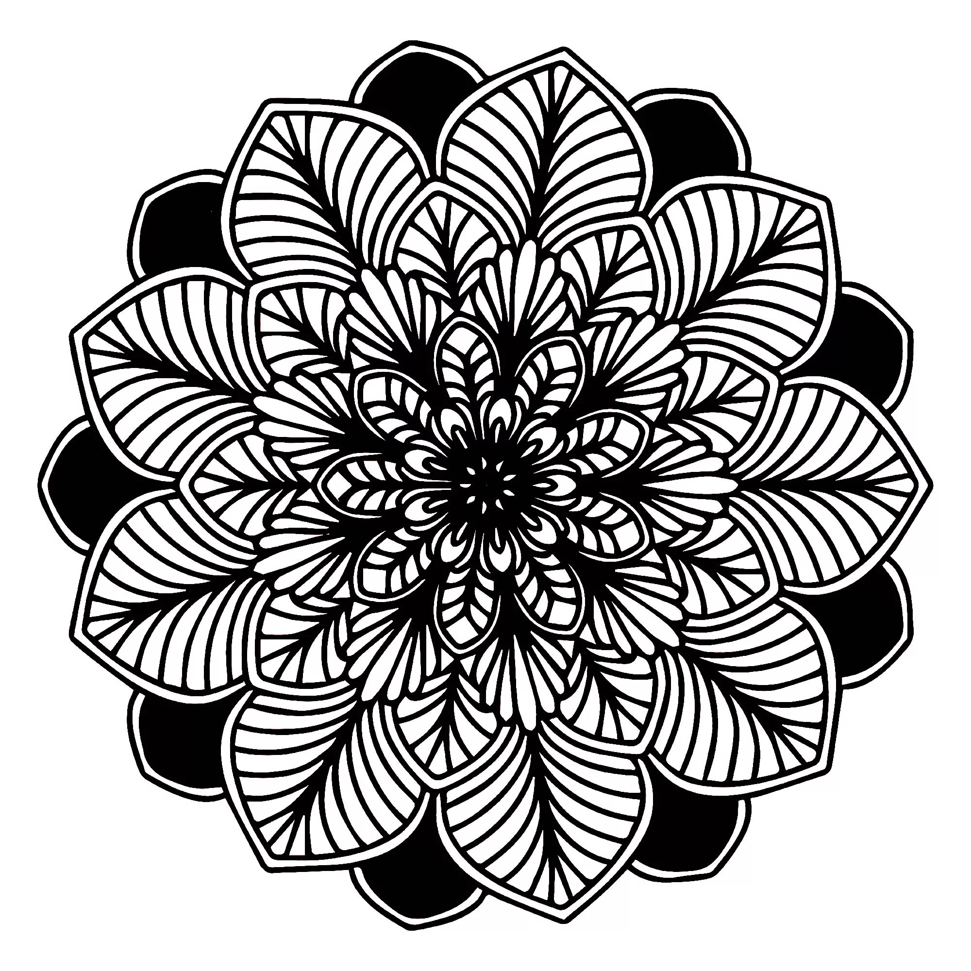 Foglie di mandala in bianco e nero (Tema Mandala : Fiori e vegetazione)