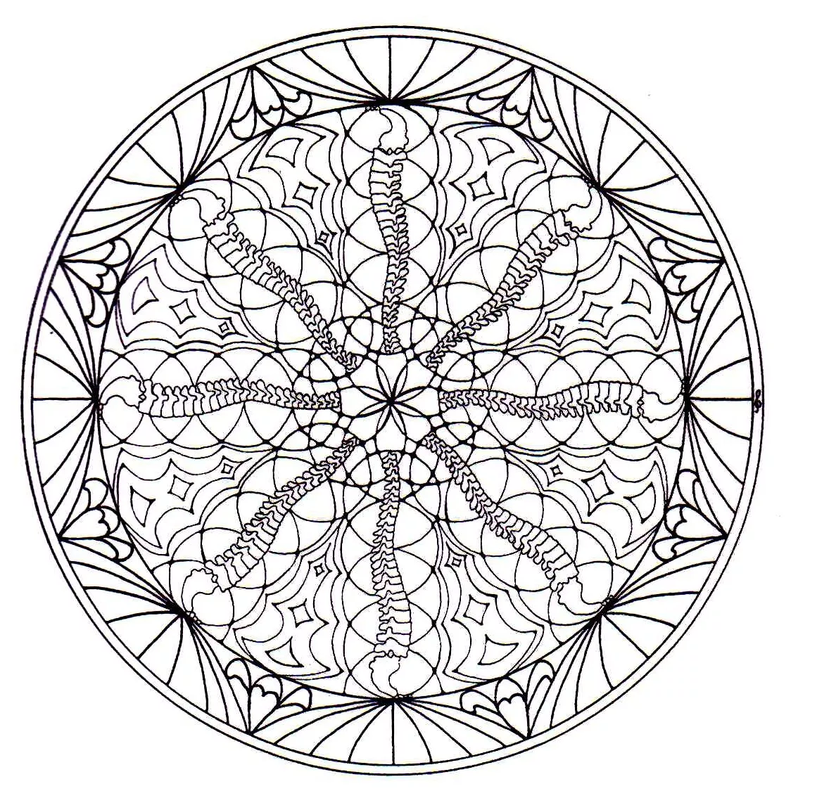 Armonia e vegetazione (Tema Mandala : Fiori e vegetazione)