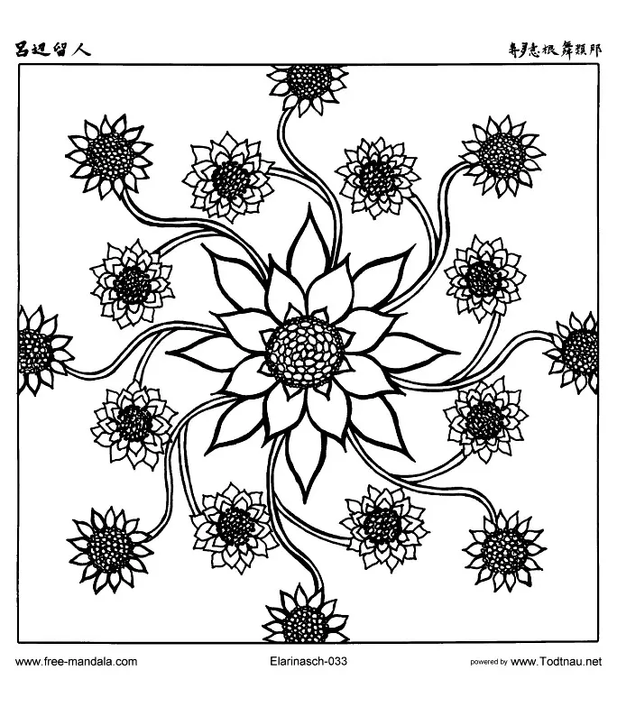 Pagina originale da colorare con fiori (Tema Mandala : <b>Fiori e vegetazione</b>)