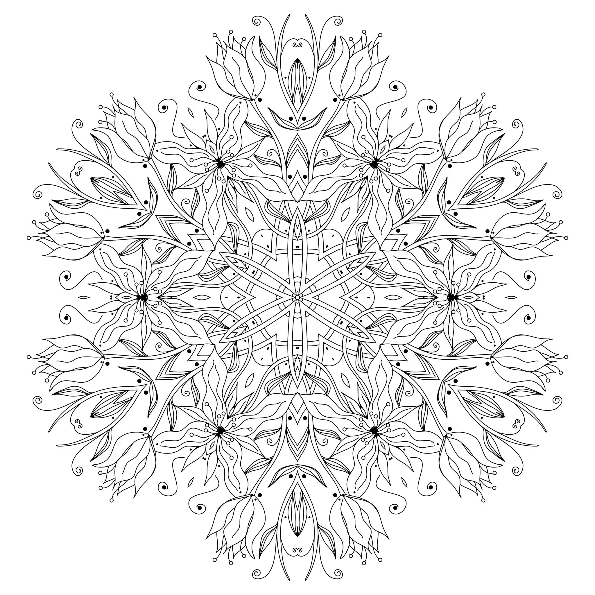 Mandala con linee sottili e semplici (Tema Mandala : Fiori e vegetazione)