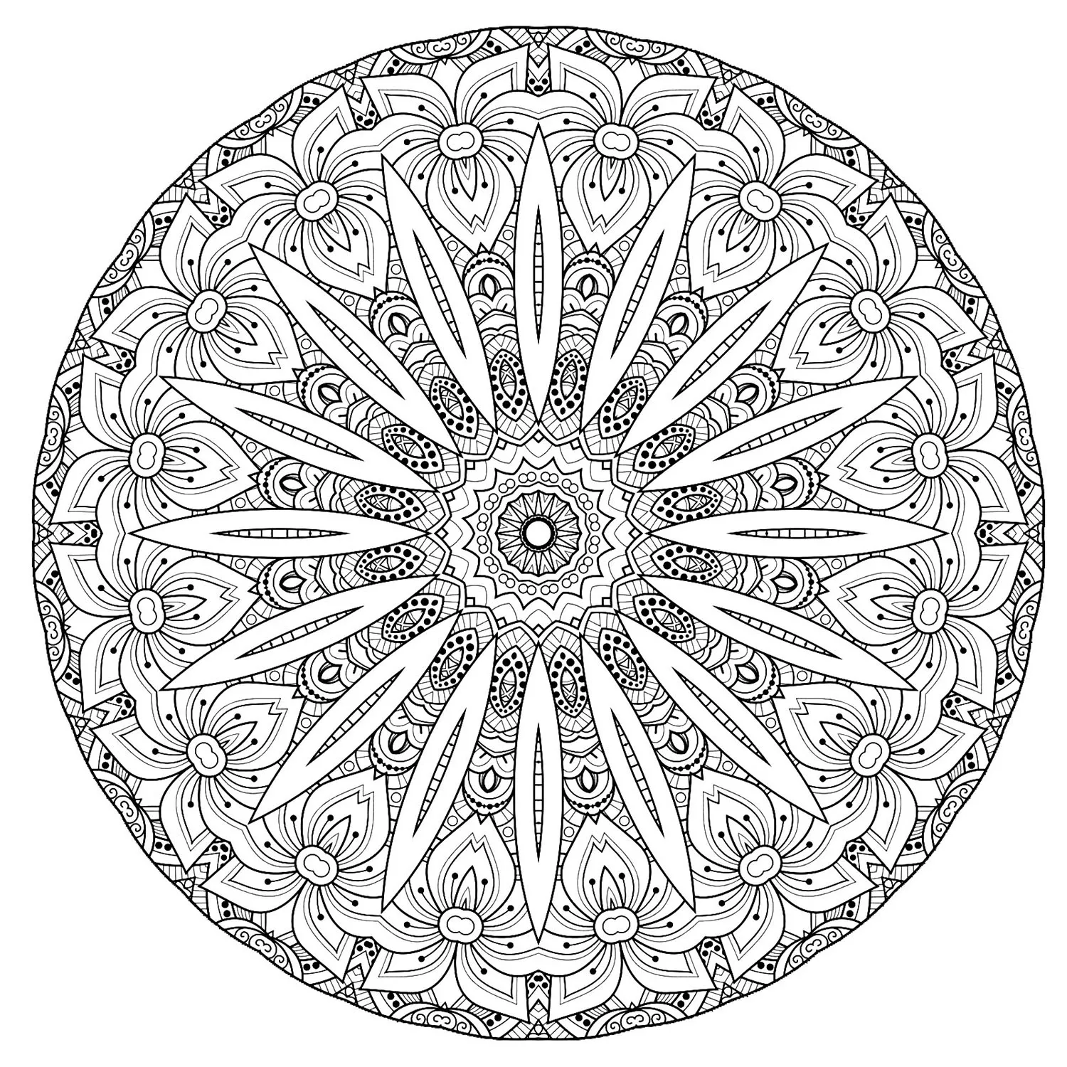 Mandala di alta qualità (Tema Mandala : Fiori e vegetazione)