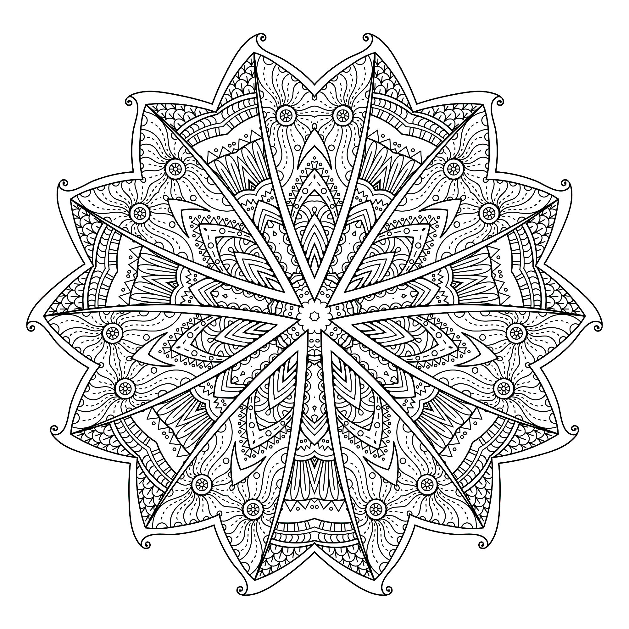 Gli elementi vegetali spesso si abbinano molto bene ai Mandala, come nel caso di questa originalissima pagina da colorare composta da 14 quadranti (2 gruppi di 7), simili ad ali di farfalla.