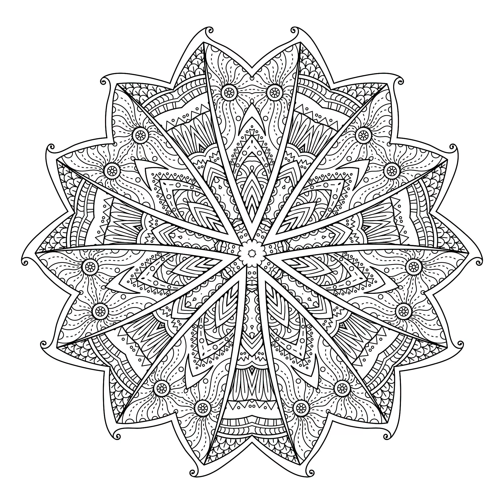 Mandala astratto con foglie (Tema Mandala : Fiori e vegetazione)