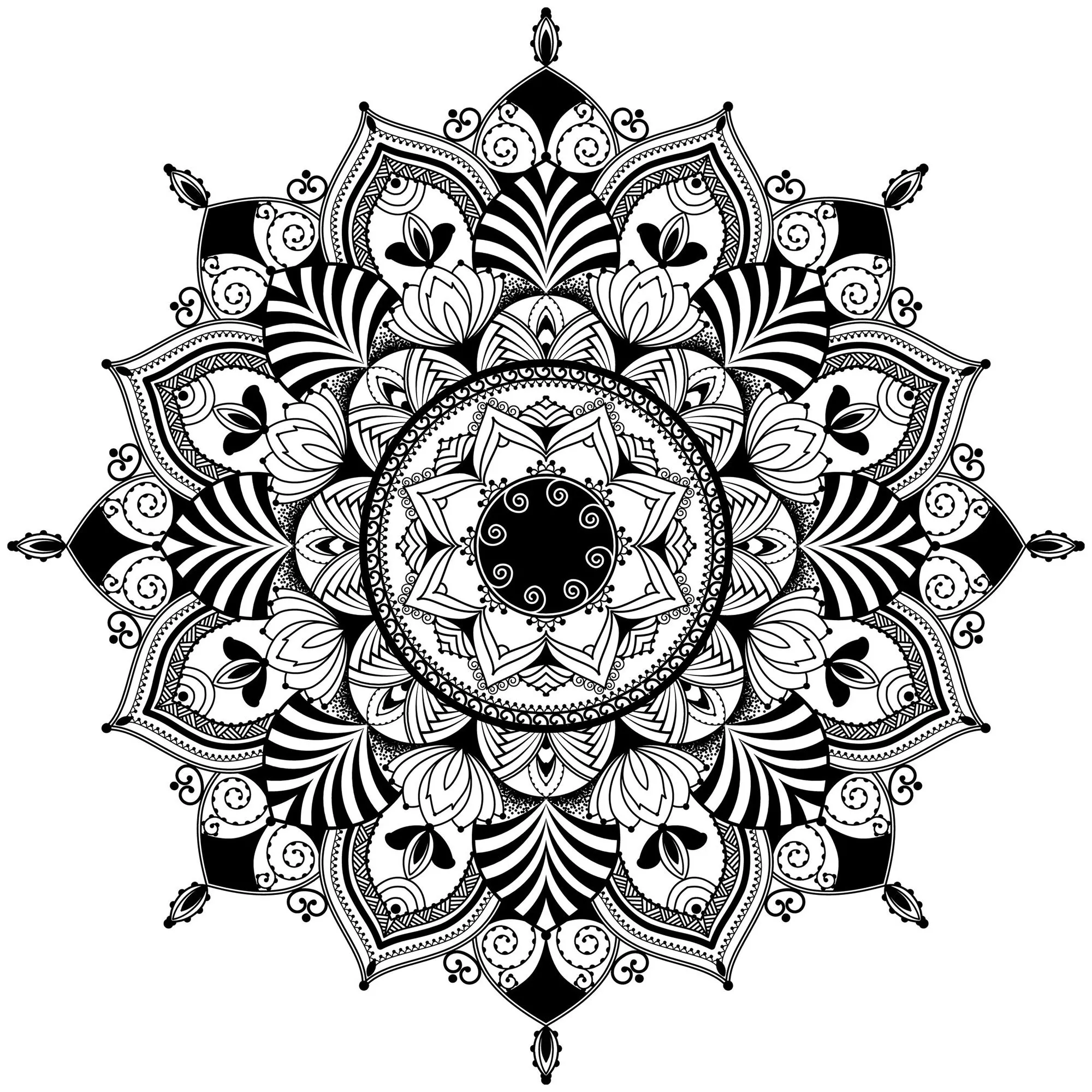 Mandala Zentangle in bianco e nero (Tema Mandala : Fiori e vegetazione)