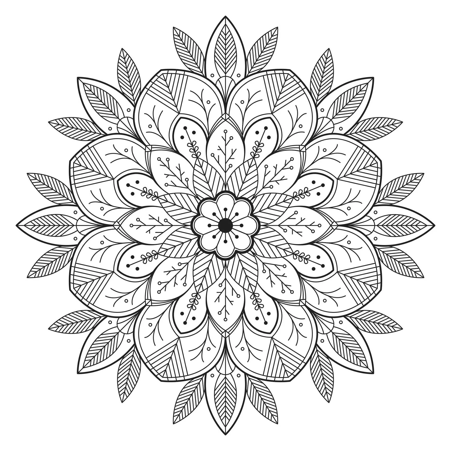Grazioso mandala con fiori e foglie (Tema Mandala : Fiori e vegetazione)