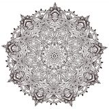 Mandala vegetale ultra dettagliato e minuzioso