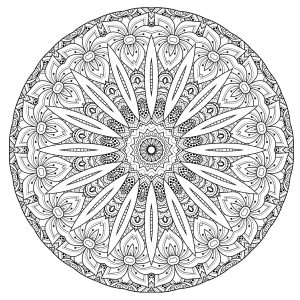 Mandala di alta qualità