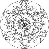 Mandala di fiori di stella
