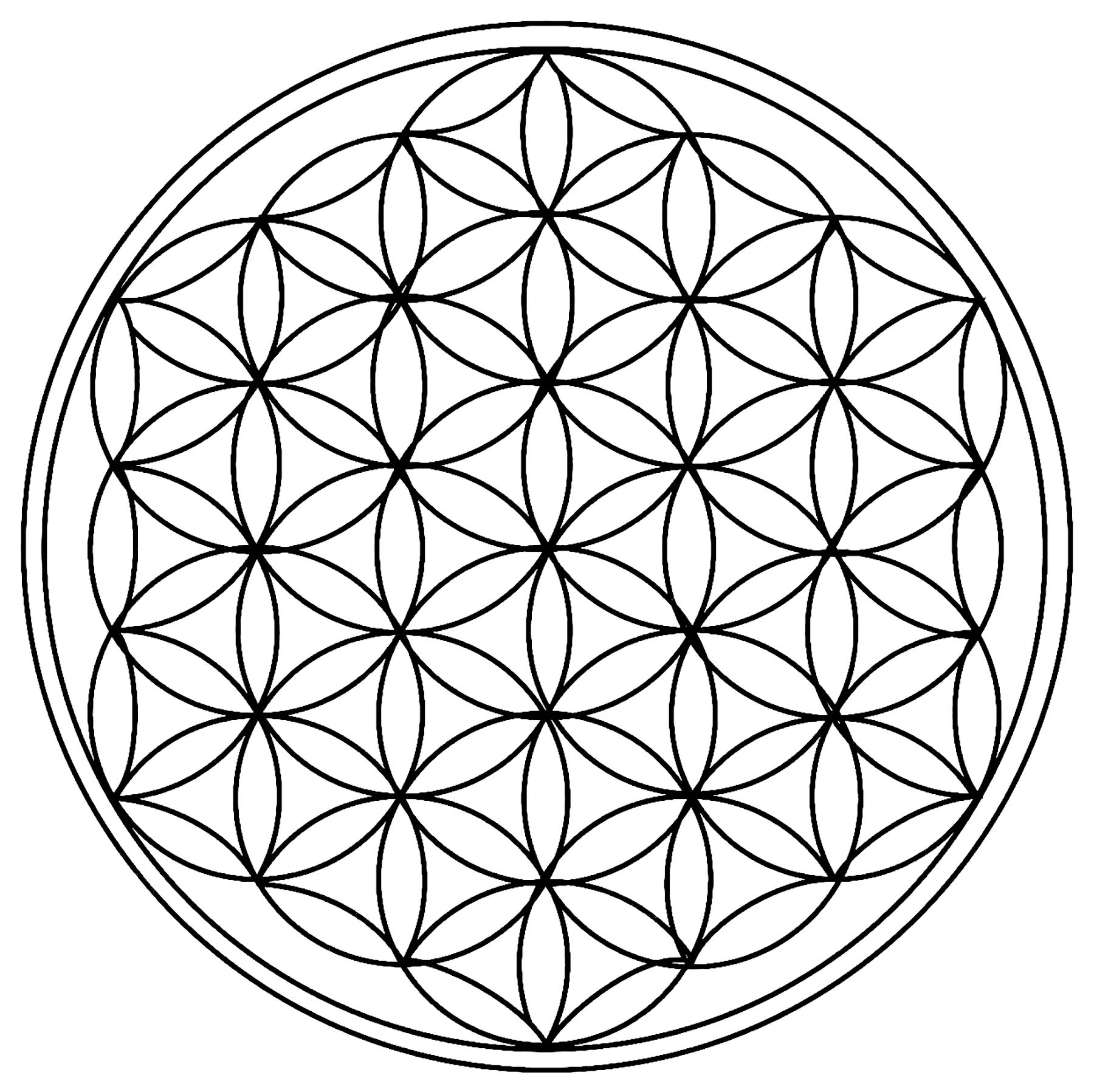 Cerchi multipli di dimensioni identiche, che formano una forma del tutto unica