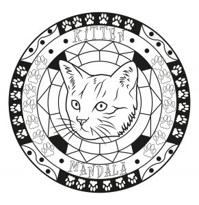 Mandala gatto adulto