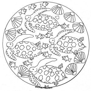 Mandala di conchiglie, tartarughe e pesci